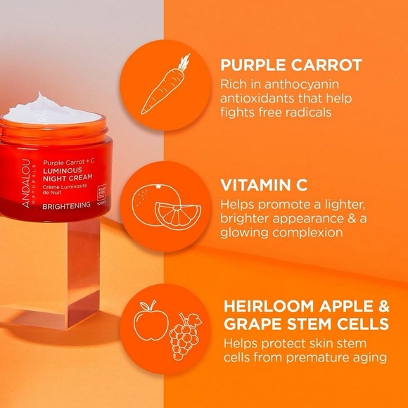 Andalou Brightening Purple Carrot + Vitamin C Luminous Night Cream | New - Picture 4 of 9